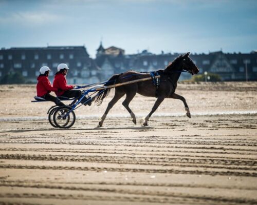 Activité sulky sur les plages de Deauville - La Vie de Cocagne